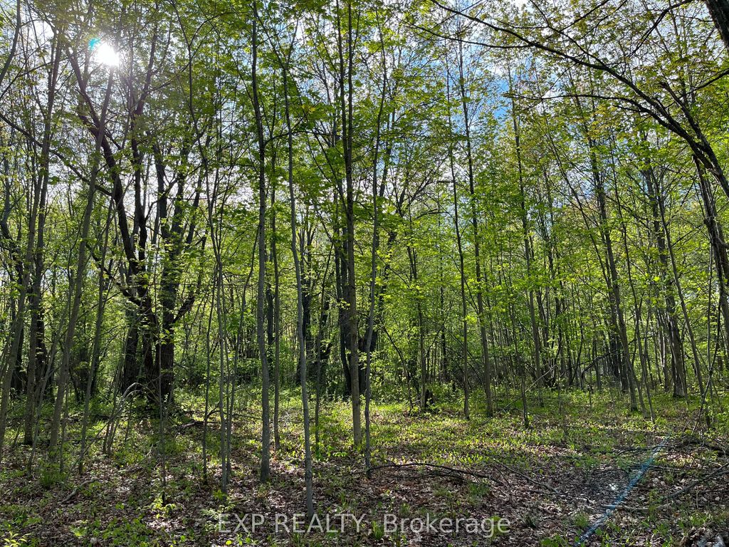 Lot 7 Casson Trail, Madawaska Valley