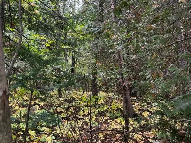 6 Shore Road, Saugeen Shores