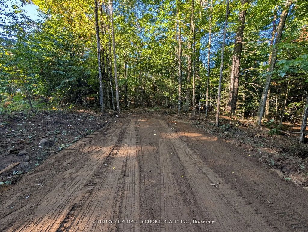 1055 W Porkys Road, Minden Hills