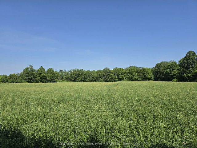 Shannonville Road, Tyendinaga