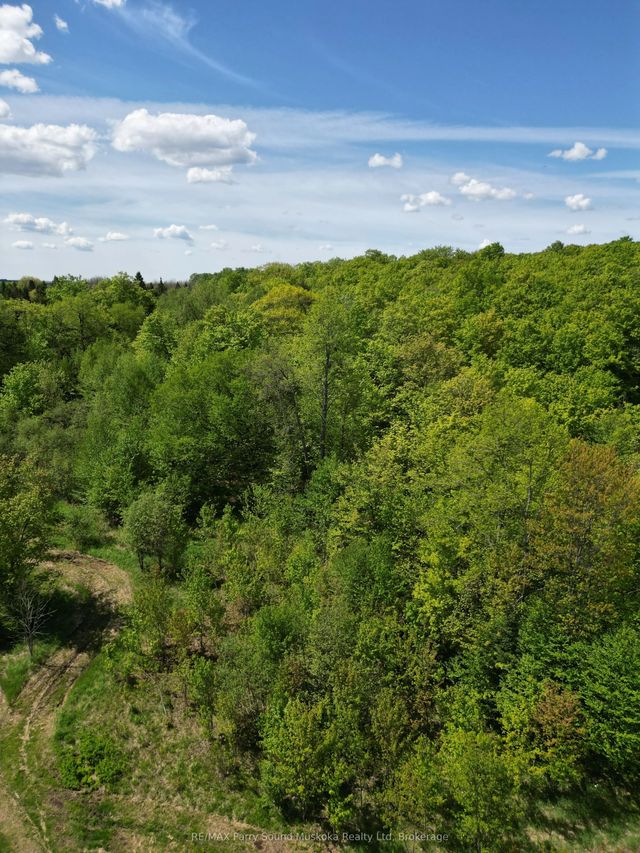 791-b Clear Lake Road, Parry Sound Remote Area