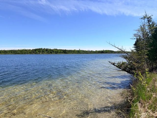 4166 Marlbank Road, Tweed