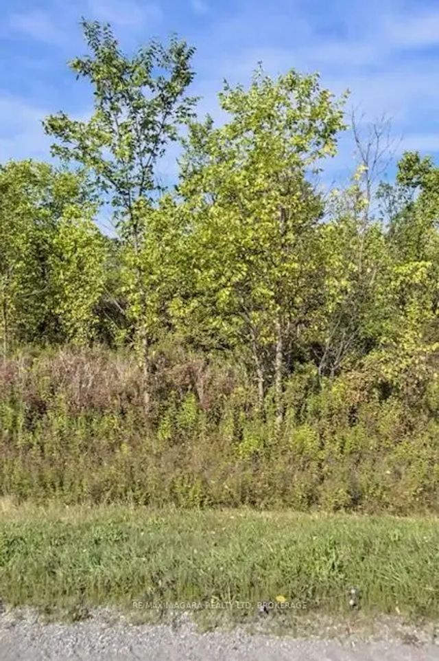 Lot 6 Montrose Road, Niagara Falls