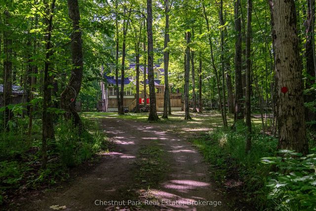 89 Tammys Cove Road, Northern Bruce Peninsula