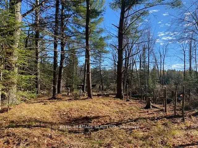 17556 Highway 62 N/a, Madoc