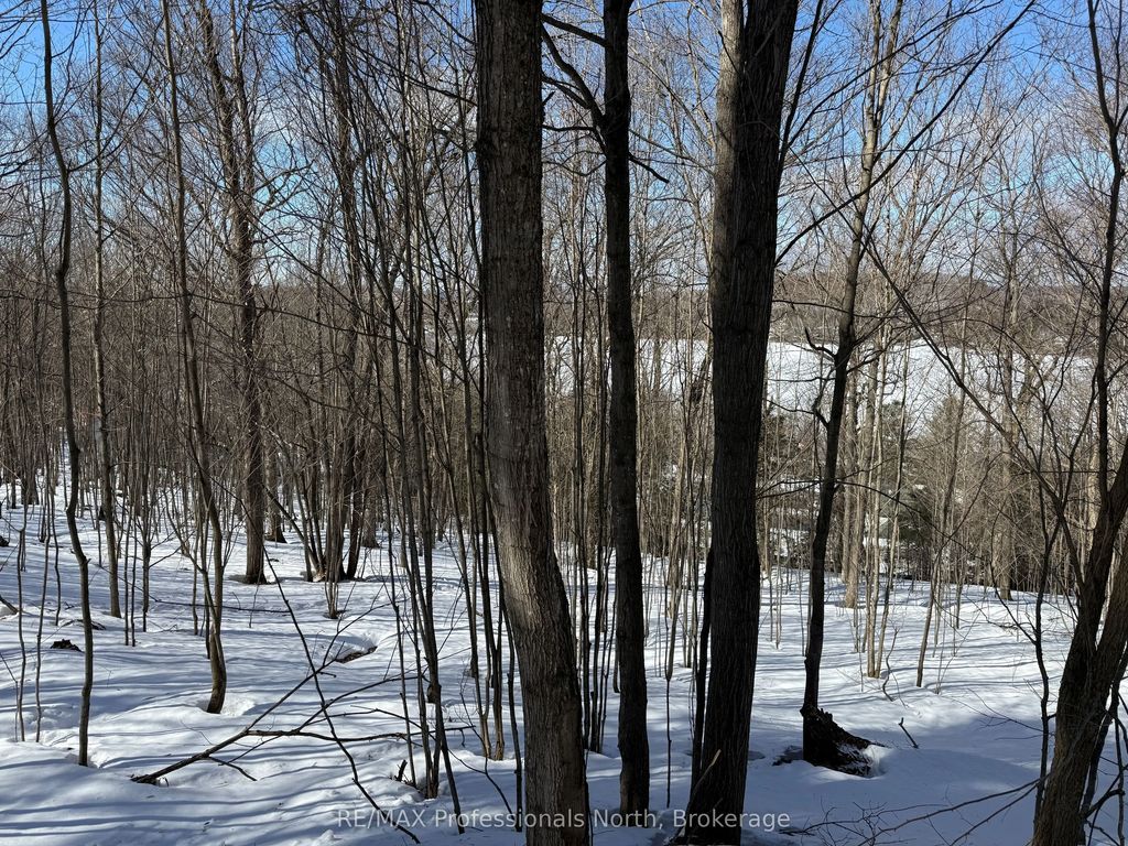 22 Walpole Street W, Huntsville
