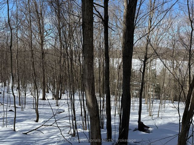 22 Walpole Street W, Huntsville