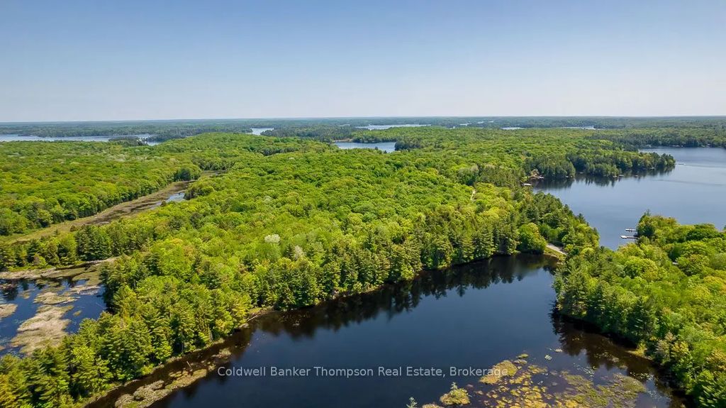 29 Bear Lake Road, Georgian Bay
