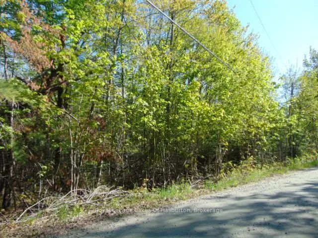 Lot 11 Plan 580 North Drive, Dysart et al