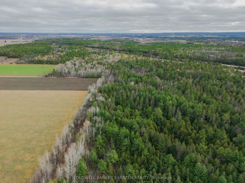 Scheel Drive, McNab/Braeside