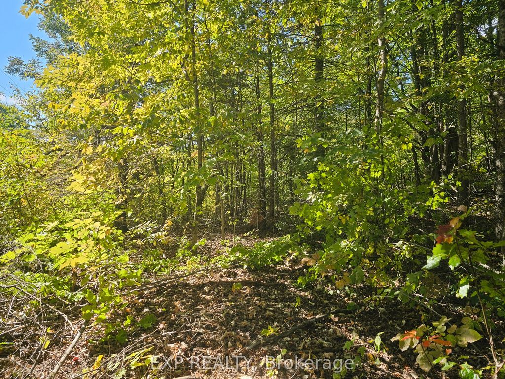 Part Lot 32 And 33 Part 2 Conc 1 Concession, Minden Hills