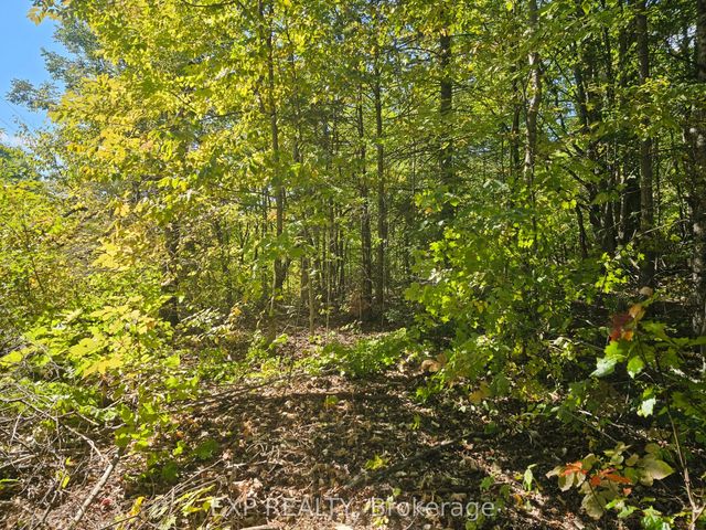 Part Lot 32 And 33 Part 2 Conc 1 Concession, Minden Hills