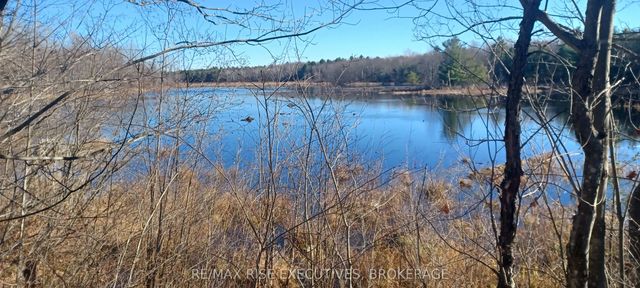 Kaladar Con 9 Lt 21 N/a, Addington Highlands