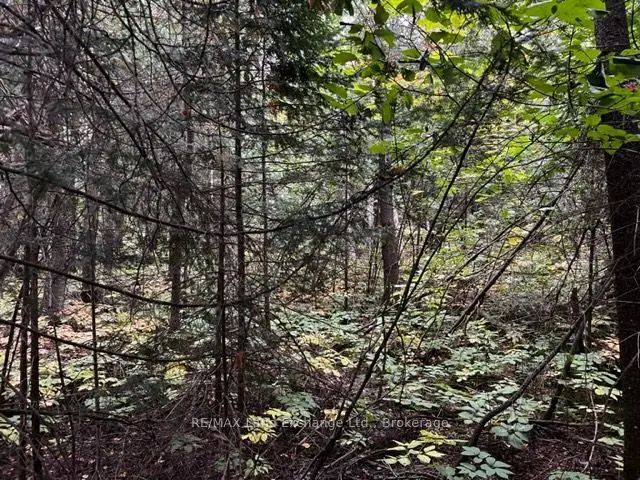 4 Shore Road, Saugeen Shores