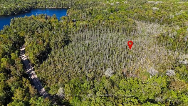 1356 Dickie Lake Road, Lake of Bays