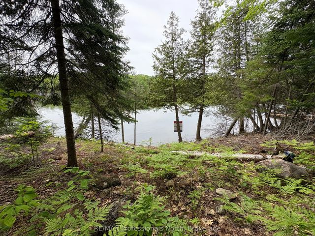 Poverty Bay Trail, Minden Hills