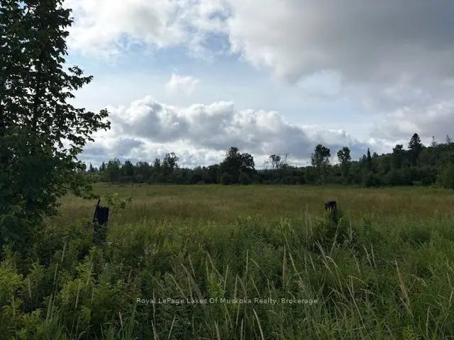 Old Muskoka To The West Side Of #1105 Road, Huntsville