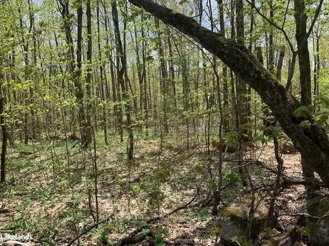 2376 South Horn Lake Road, Ryerson