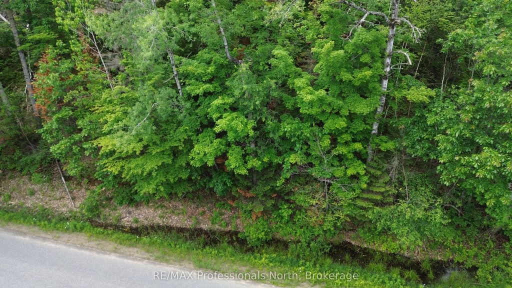 Trapper's Trail Road, Dysart et al