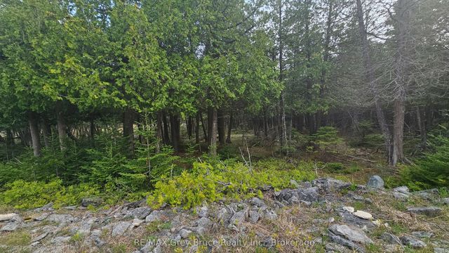 Lt 254 Dorcas Bay Road, Northern Bruce Peninsula