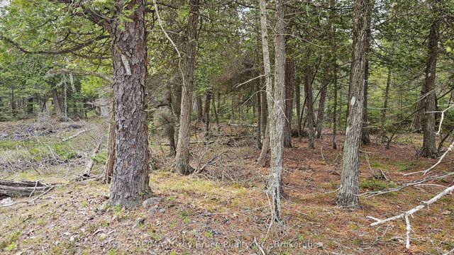 Lt 255 Pedwell Pt. Drive, Northern Bruce Peninsula