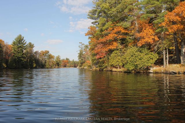 C280 Lower Buckhorn Lake N/a Lot 1, Trent Lakes