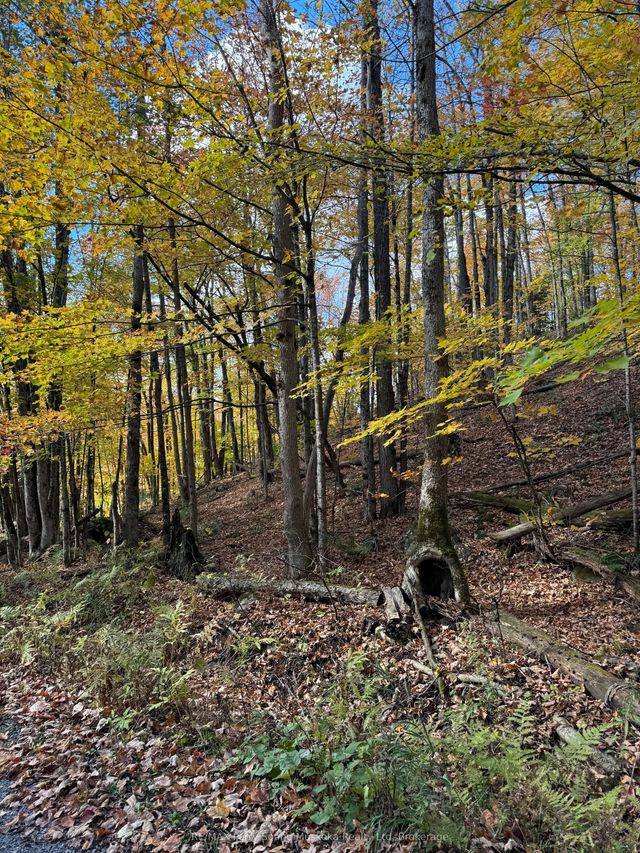 353c Balsam Creek Road, Parry Sound Remote Area