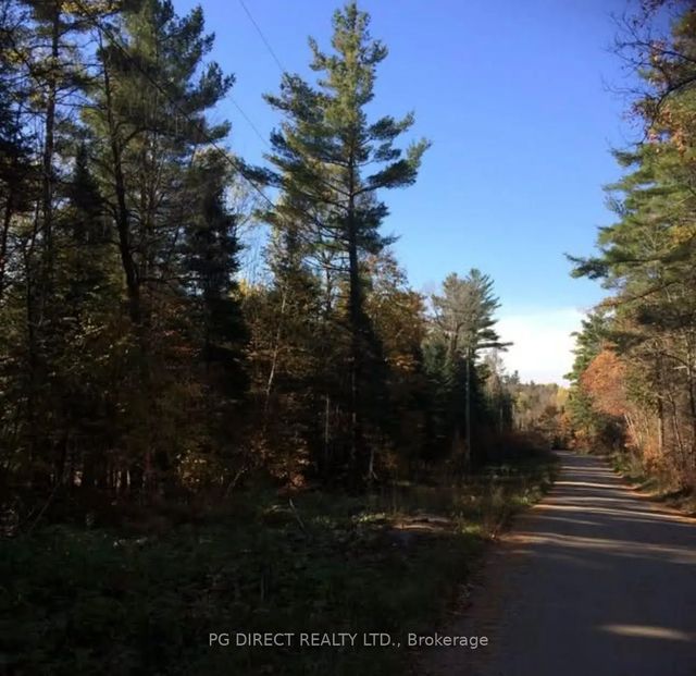 1301 Upper Spruce Hedge Road, Greater Madawaska