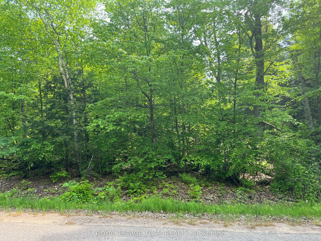 387 Sunny Hill Road, Madawaska Valley