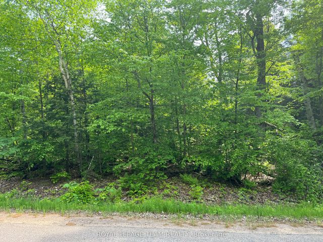 387 Sunny Hill Road, Madawaska Valley