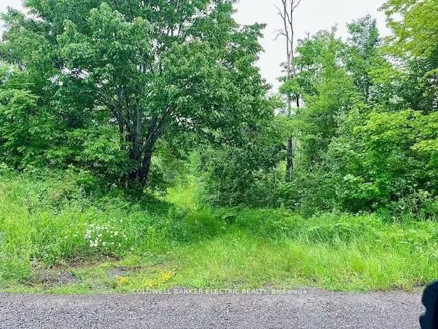 Lasswade Road, North Kawartha