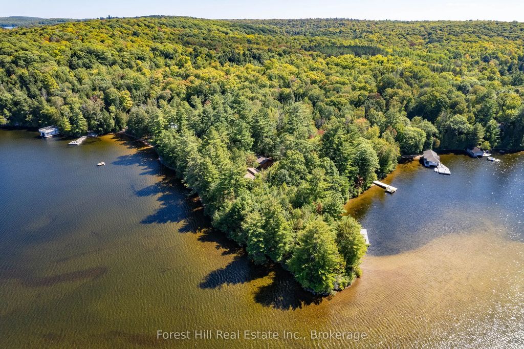 2991 Muskoka Rd 117 Road 2, Lake of Bays