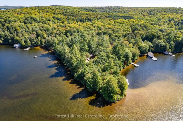 2991 Muskoka Rd 117 Road 2, Lake of Bays