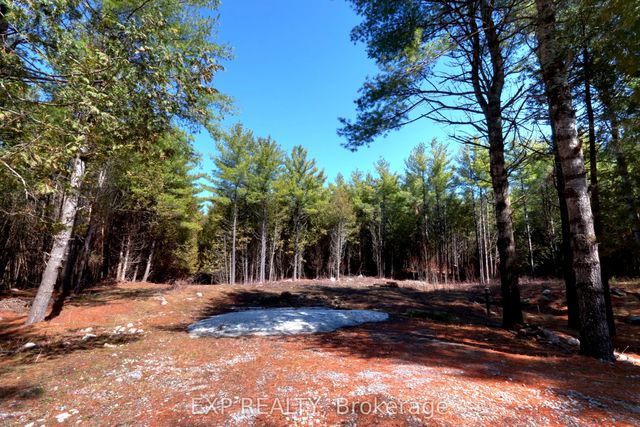 593 County 40 Road, Douro-Dummer