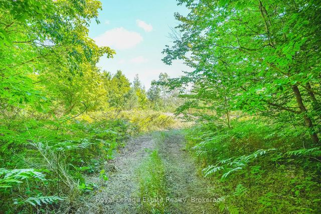 Lot 2 Sixth Street, South Bruce Peninsula