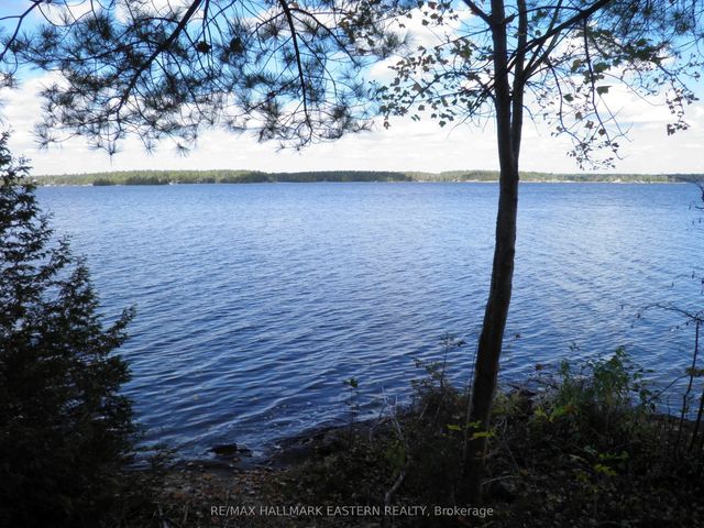 1420 Island 76 Stoney Lake N/a, North Kawartha