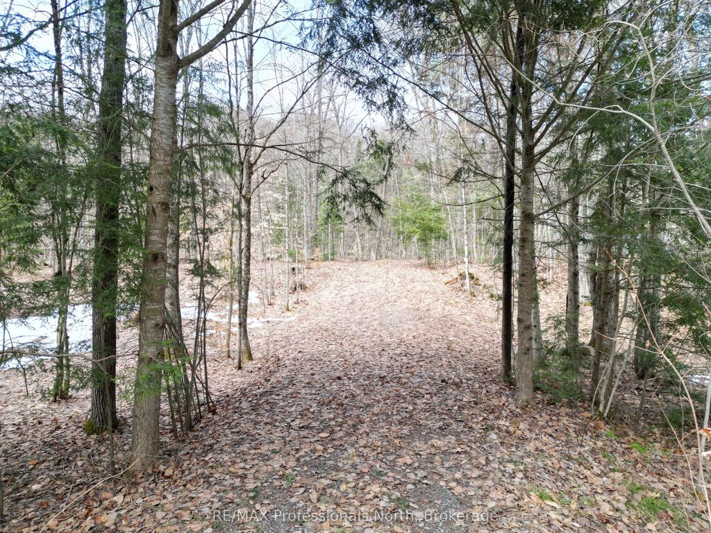 1231 Big Hawk Lake Road, Algonquin Highlands