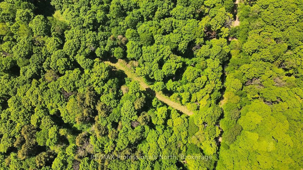 Lot 166 Glen Lake Court, Dysart et al