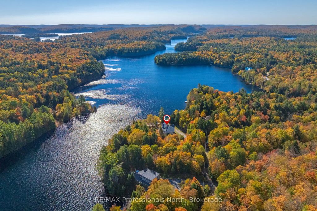 2901 Limberlost Road 3, Lake of Bays