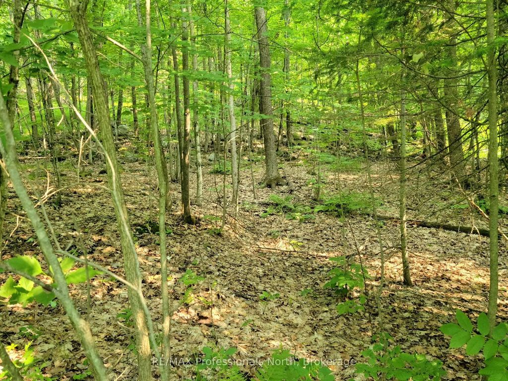 32 Mount Vernon Trail 22, Huntsville