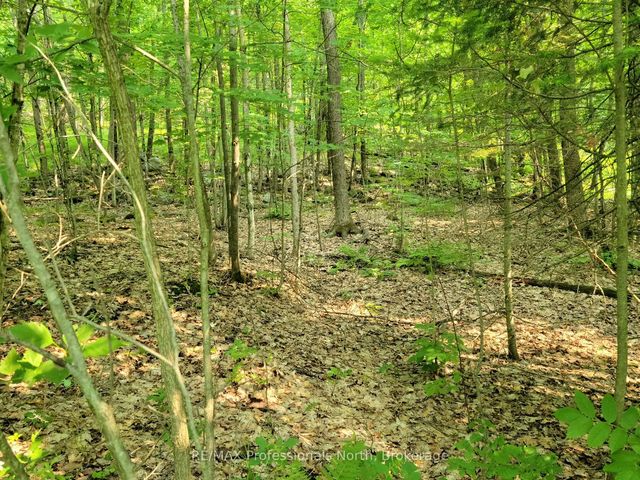 32 Mount Vernon Trail 22, Huntsville