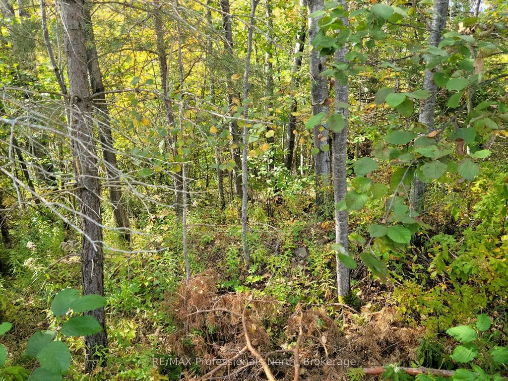 4 Fox Run Lane 32, Huntsville
