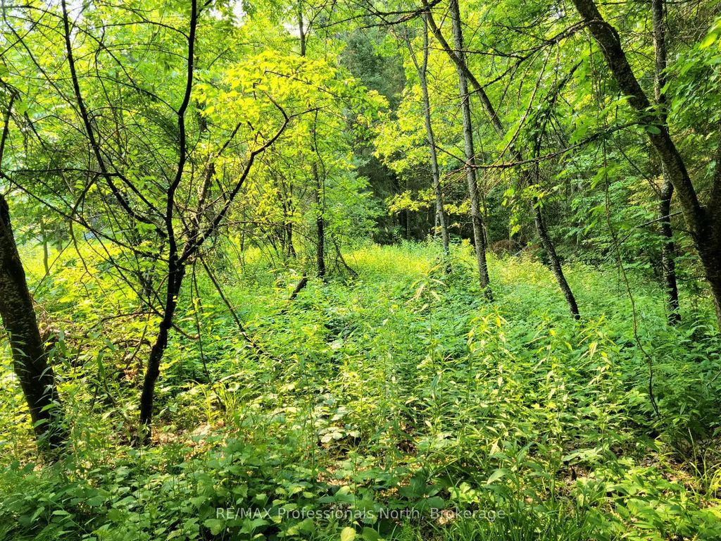 35 Mount Vernon Trail 26, Huntsville