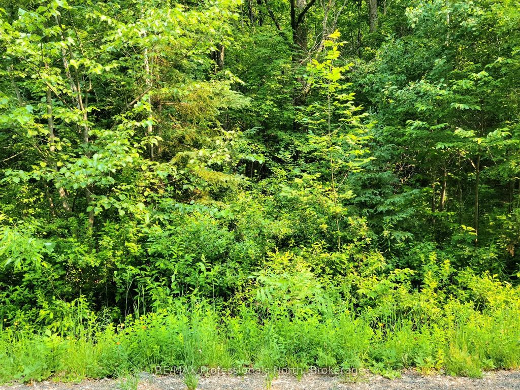 26 Mount Vernon Trail 19, Huntsville