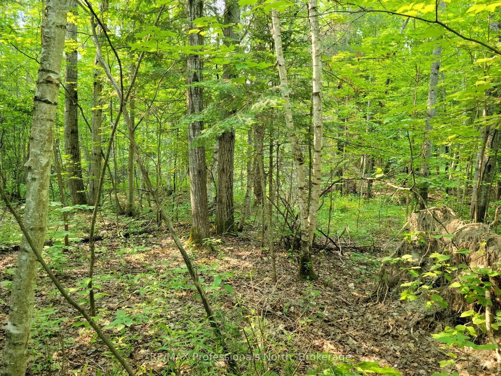 29 Mount Vernon Trail 29, Huntsville