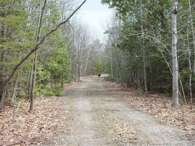 N/a Dial Road N, Central Manitoulin