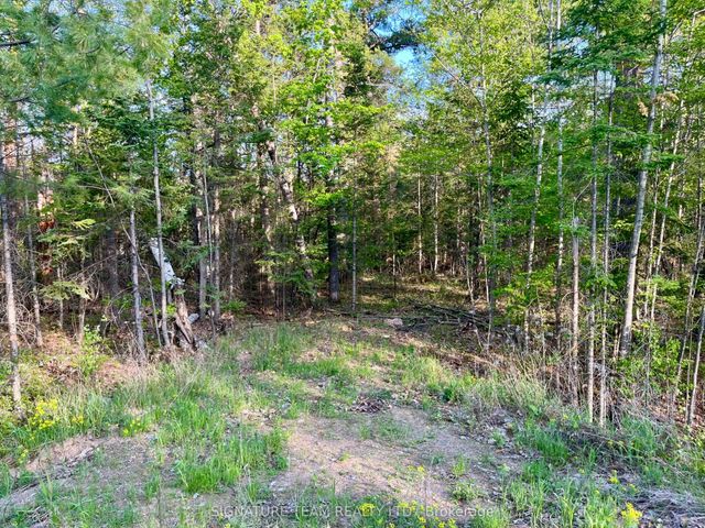 Foymount Road, Bonnechere Valley