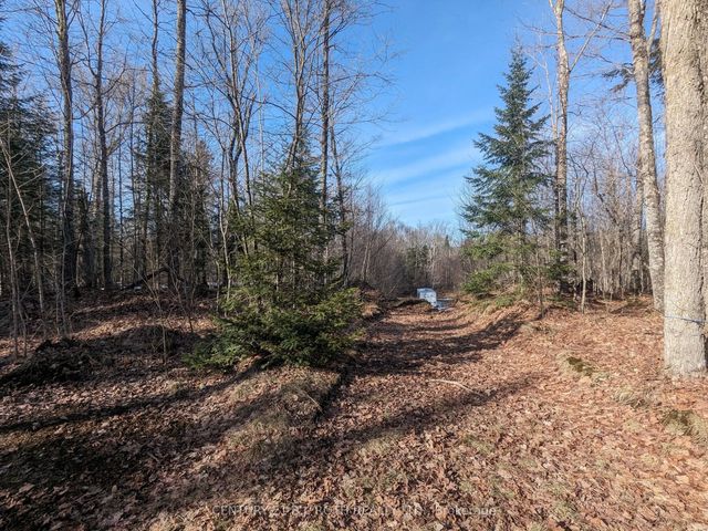 11146 Highway 118 N/a, Algonquin Highlands