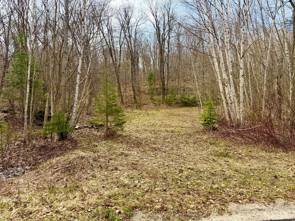 0-a S Maple Drive S, Parry Sound Remote Area