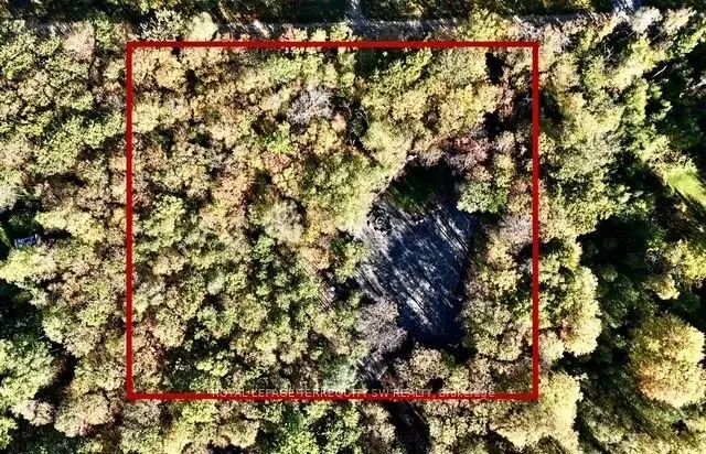 1394 Bartlett Lake Road, Ryerson